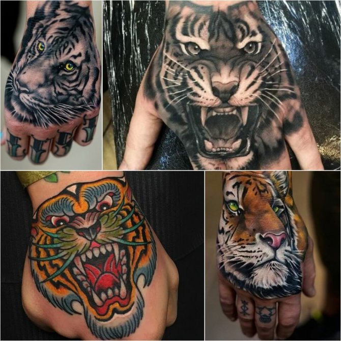 Tiger tattoo - Tiger tattoo on hands - Tiger tattoo on hands