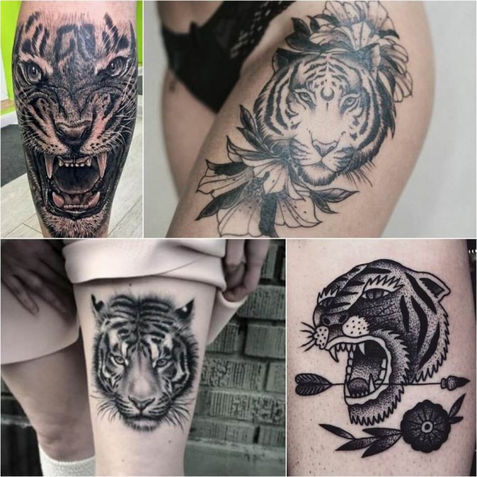Tattoo tiger - Tiger leg tattoo - Tiger leg tattoo