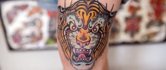 Tattoo of the tiger - Tiger tattoo - Meaning of the tiger tattoo