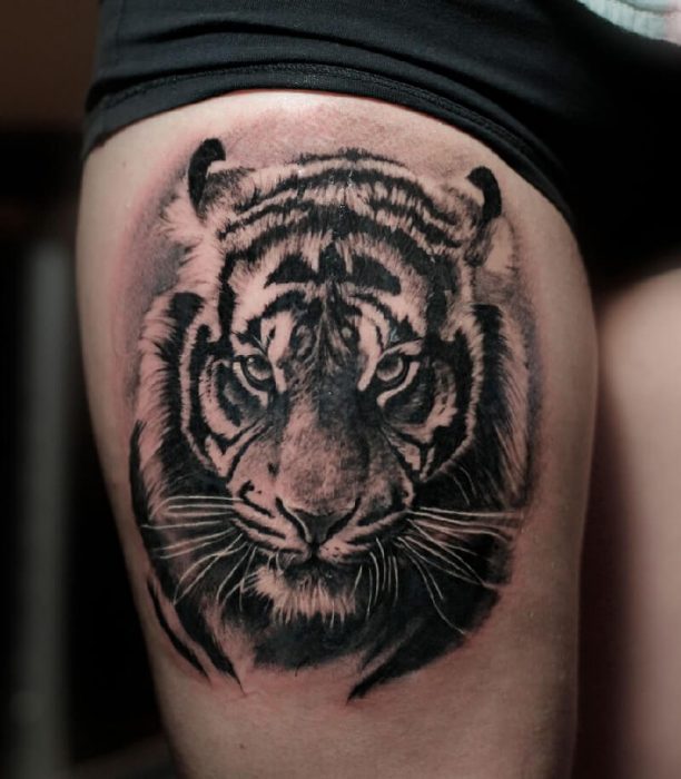 Tattoo Tiger - Tiger Tattoo - Meaning of tattoo tiger