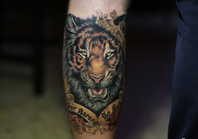 tiger tattoo meaning