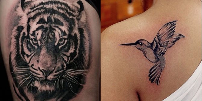Tattoo tiger