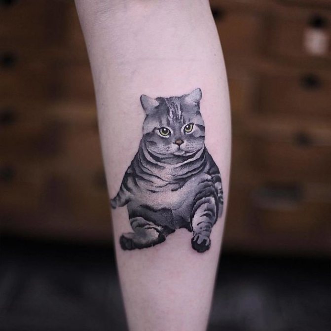 fat cat tattoo on his shin
