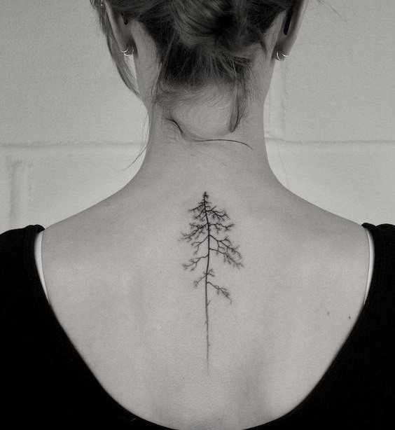 Tree tattoo will be an elegant decoration along the spine line