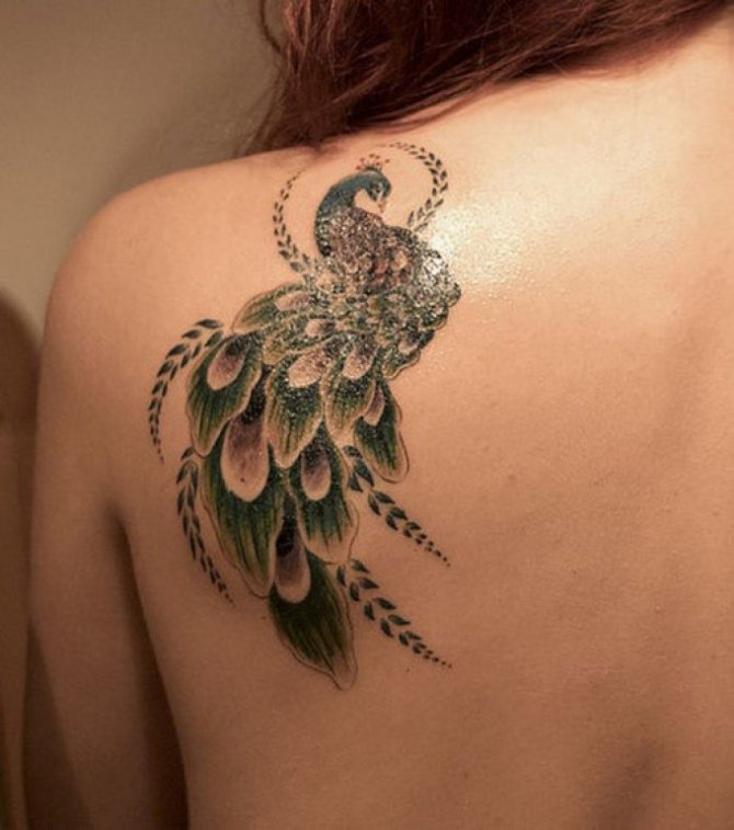Tattoo in the shape of a peacock looks very beautiful