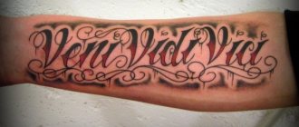 Tattoo Veni, vidi, vici (Came, saw, conquered!). Sketch, translation, meaning