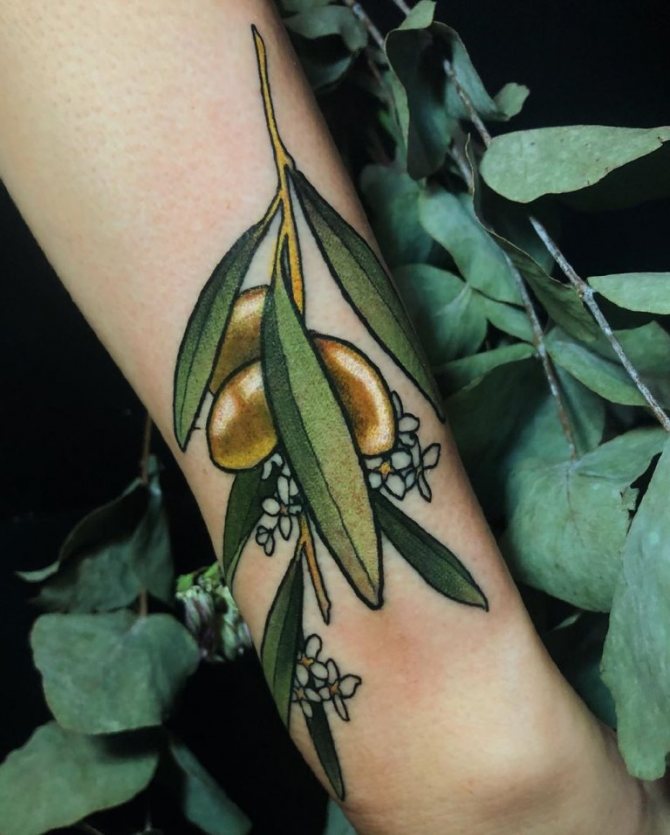 olive branch tattoo