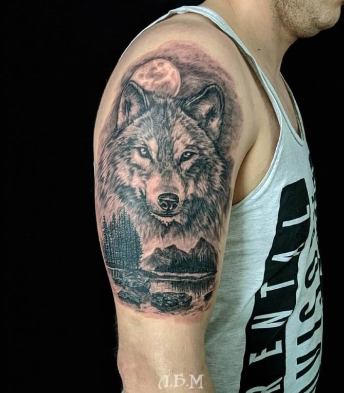 Tattoo wolf on the shoulder