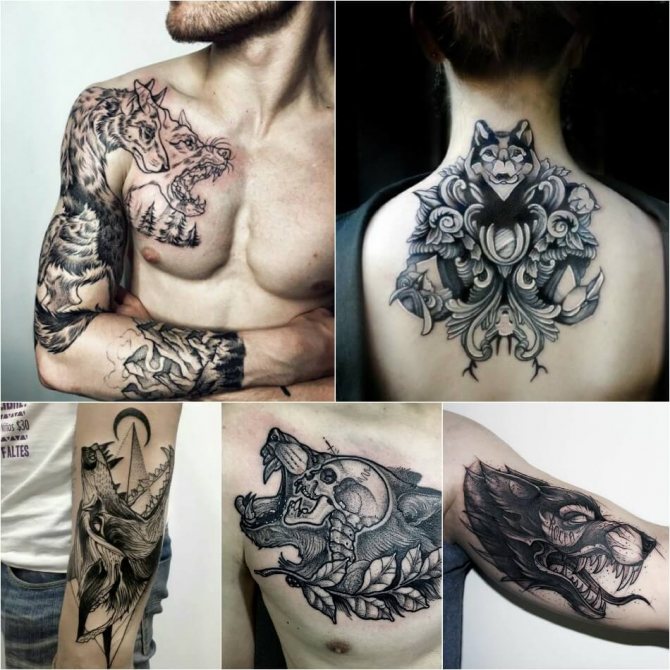 Tattoo wolf - Tattoo wolf - Tattoo wolf significato e schizzi
