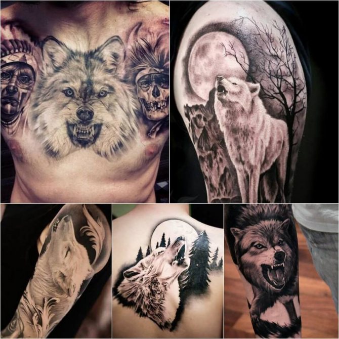 Tatuaj de lup - Subtilitatea tatuajului lup - Tatuaj de lup alb