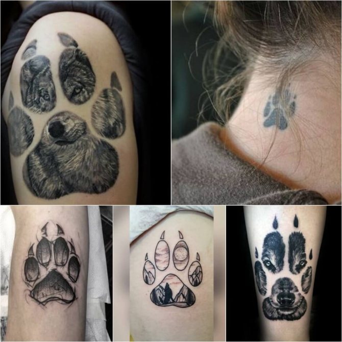 Tatuaj lup - Subtilitatea de tatuaj lup - Tatuaj lup laba lupului - Tatuaj laba lupului - Tatuaj laba lupului