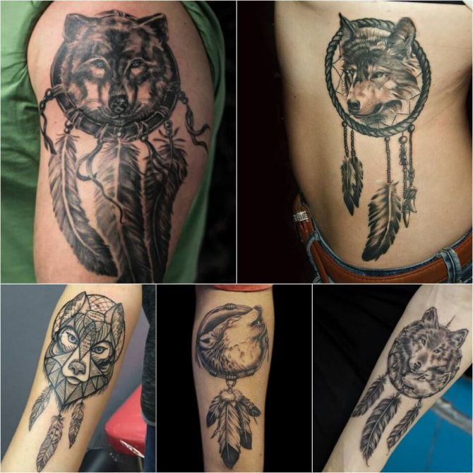 Tattoo wolf - Sottigliezza del tatuaggio del lupo - Tattoo wolf dream catcher
