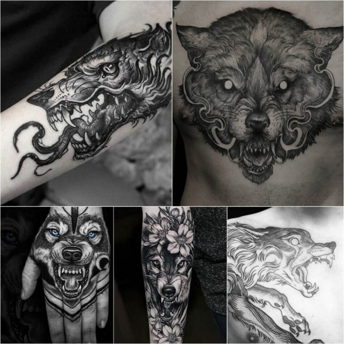Tatuaj lup - Subtilitatea tatuajului lup - tatuaj Wolf grin - Wolf grin tatuaj sensul tatuaj Wolf grin