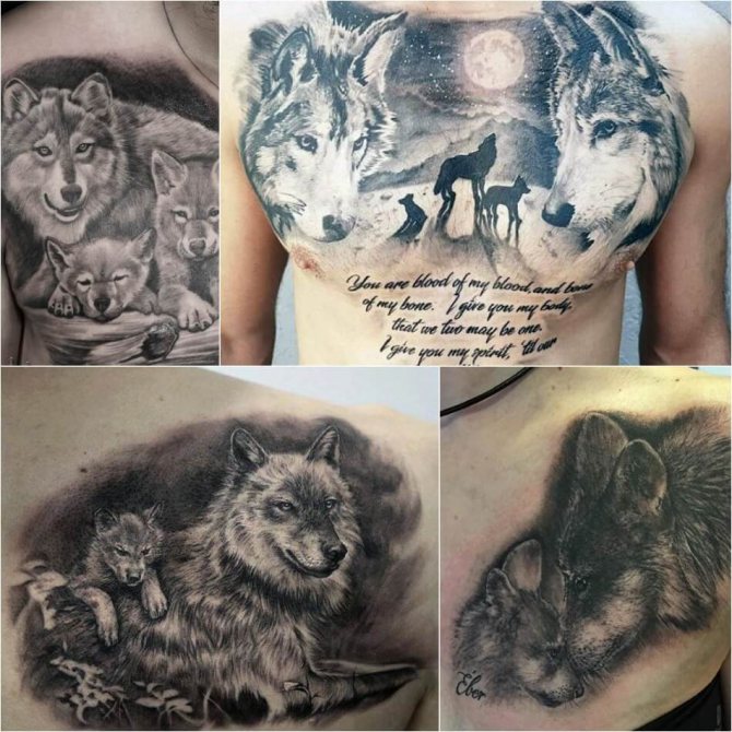 Tattoo wolf - Sottigliezza del tatuaggio del lupo - Tattoo wolf - Tattoo wolf with cubs