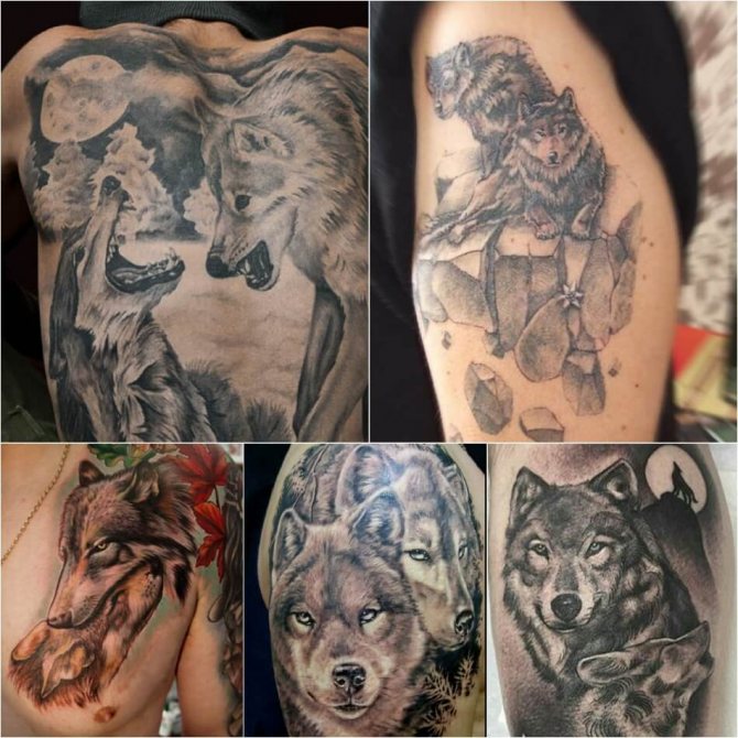 Tattoo wolf - Sottigliezza del tatuaggio del lupo - Tattoo wolf e she-wolf
