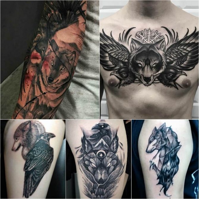 Tatuaggio del lupo - Sottigliezza del tatuaggio del lupo - Tatuaggio del lupo e del corvo - Significato del lupo e del corvo