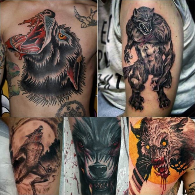 Tattoo wolf - Sottigliezza del tatuaggio del lupo - Tattoo mannaro - Tattoo mannaro