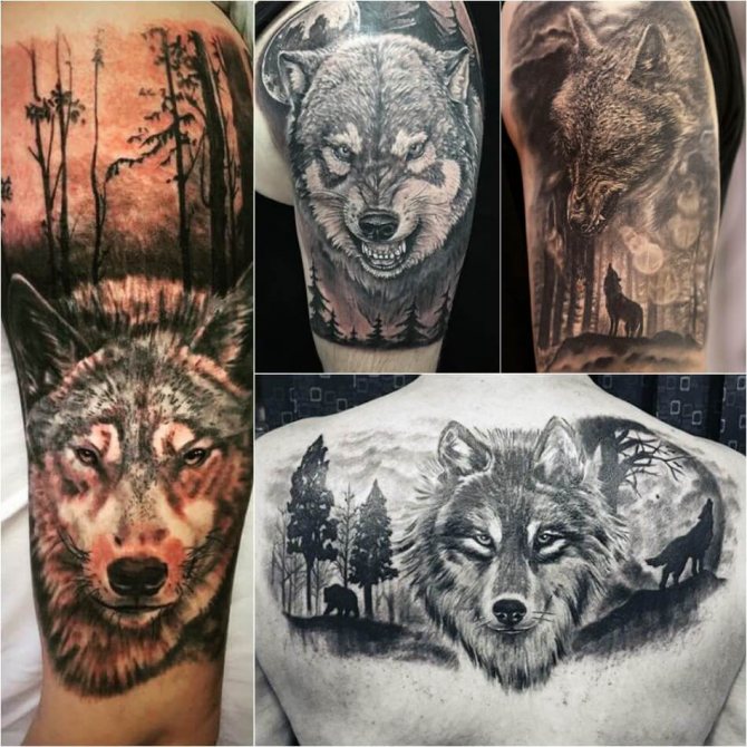 Tattoo wolf - Sottigliezza del tatuaggio del lupo - Tattoo wolf in the woods