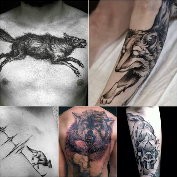 Tattoo wolf - Sottigliezza del tatuaggio del lupo - Tattoo wolf on the run - Running wolf tattoo