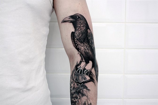 Tattoo of a raven on the shoulder, arm, chest, neck. Meaning for men, girls