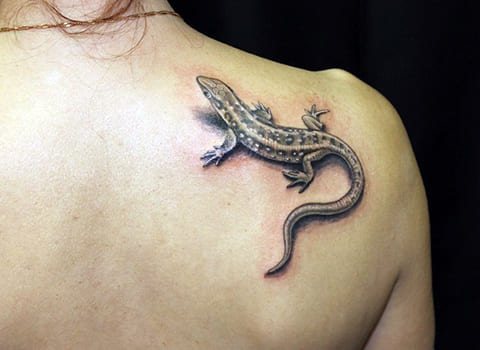 Tattoo Lizard on his scapula