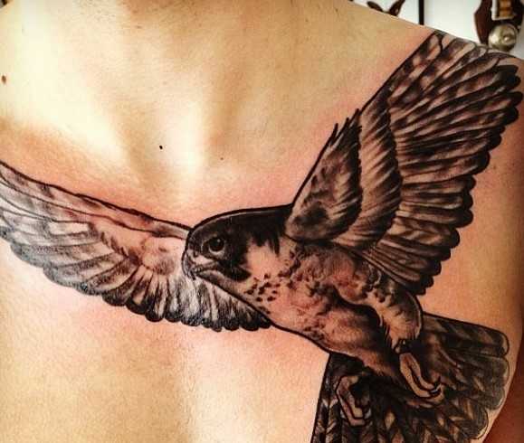 tattoo hawk on chest
