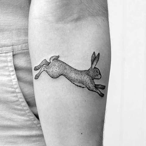 Tattoo a hare on your arm - photo