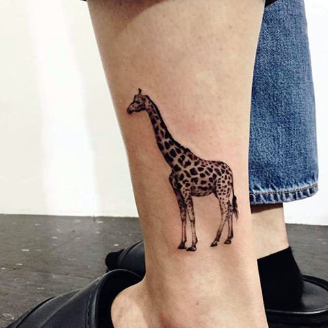 Tattoo giraffe on his leg - photo