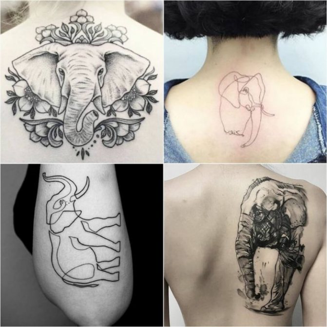 Tattoo animals - tattoo elephant - tattoo elephant - tattoo with animals
