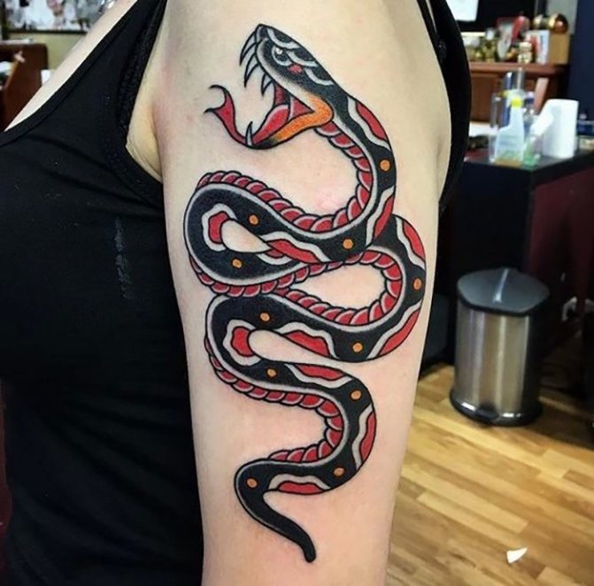red snake tattoo on his shoulder