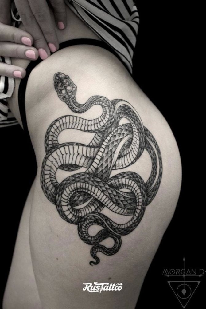 snake tattoo on your hip