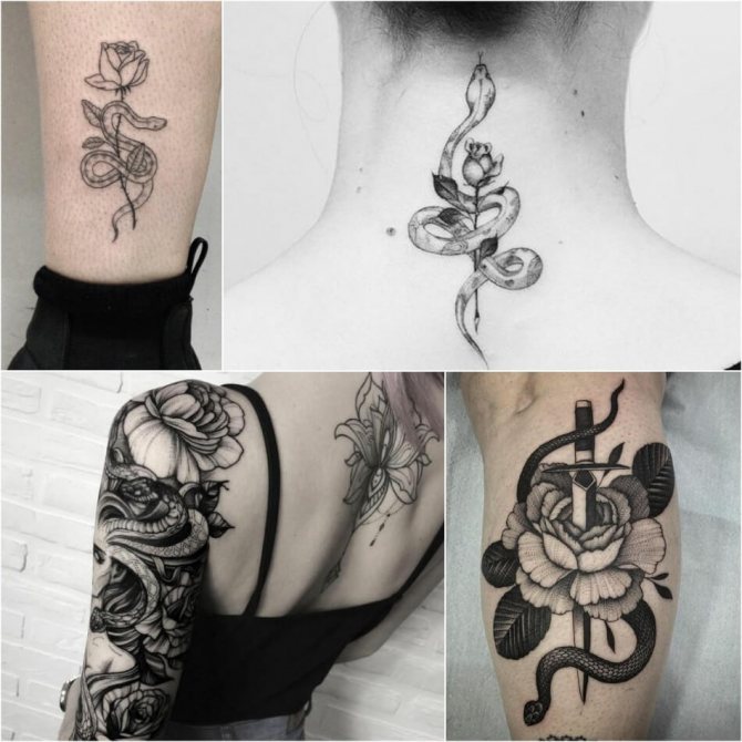 Tatuaj șarpe - Tattoo Snake și Rose - Tattoo Snake