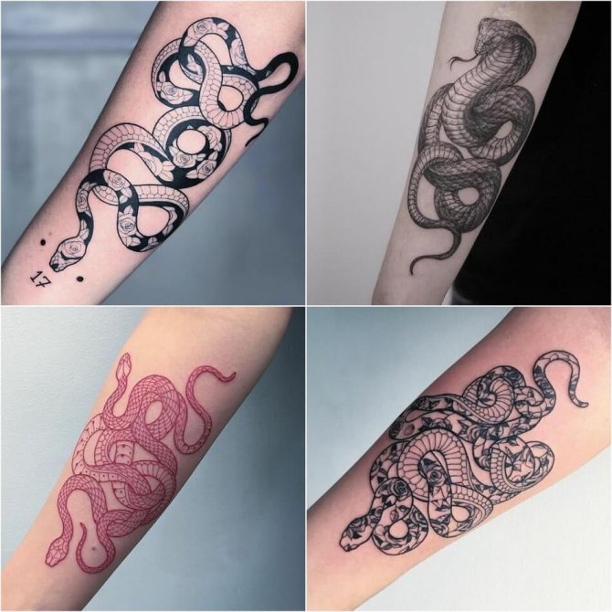 Tatuaj de șarpe - Tatuaj de șarpe pe mână - Tatuaj de șarpe pe mână