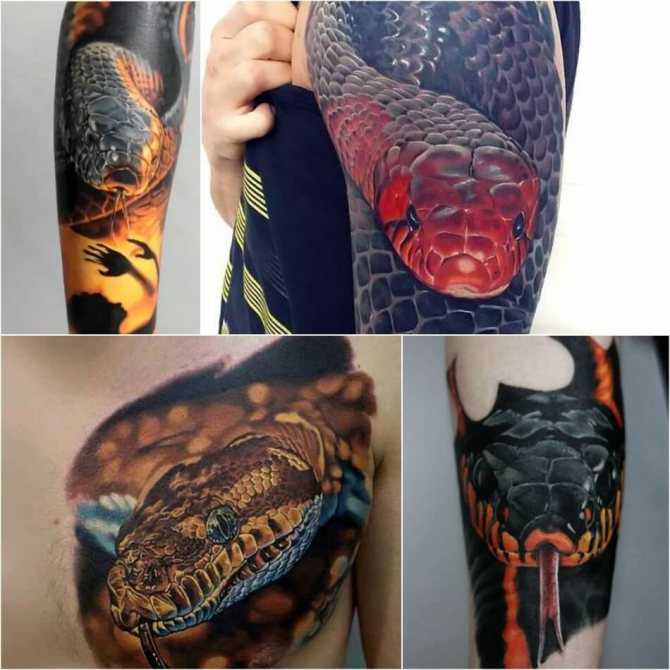 Tattoo snake - Tattoo snake realism - snake tattoo realism