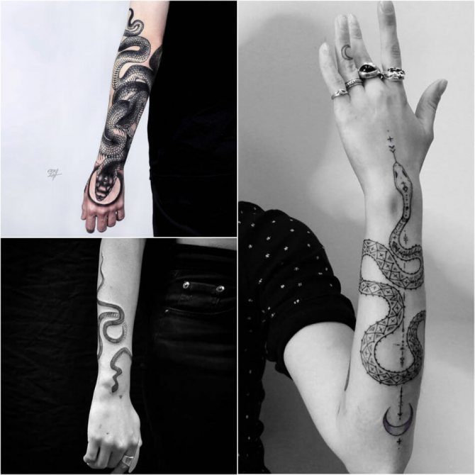 Tattoo snake - tatuaggio serpente - tatuaggio serpente intorno alla mano