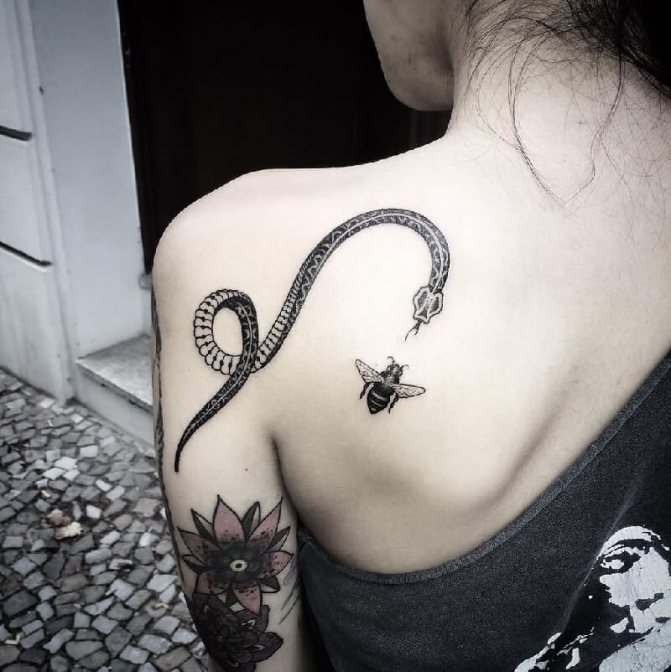 Tattoo Snake - Tattoo Snake - Semnificația tatuajului șarpe