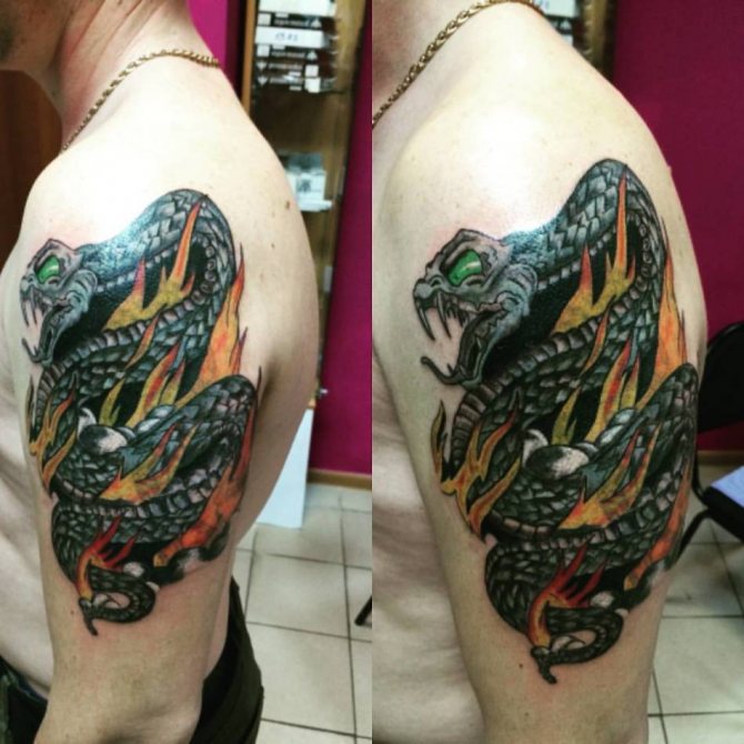 Snake on fire tattoo