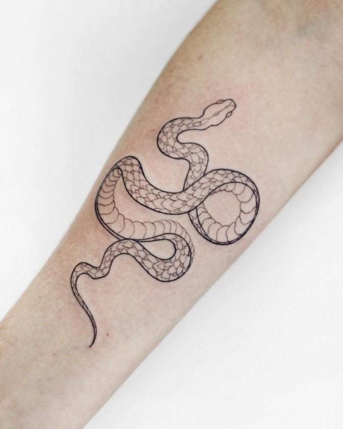 snake tattoo - tattoo meanings