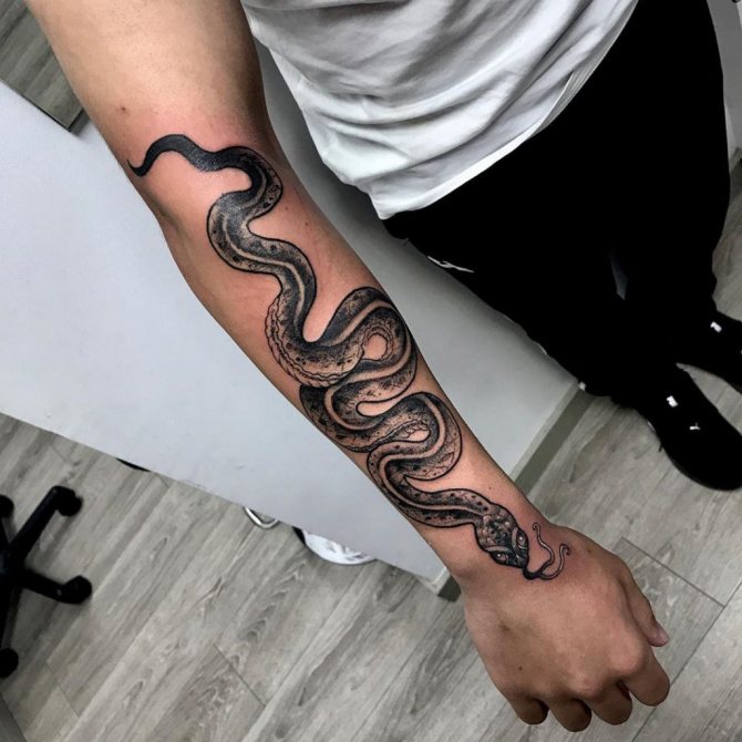snake tattoo meaning