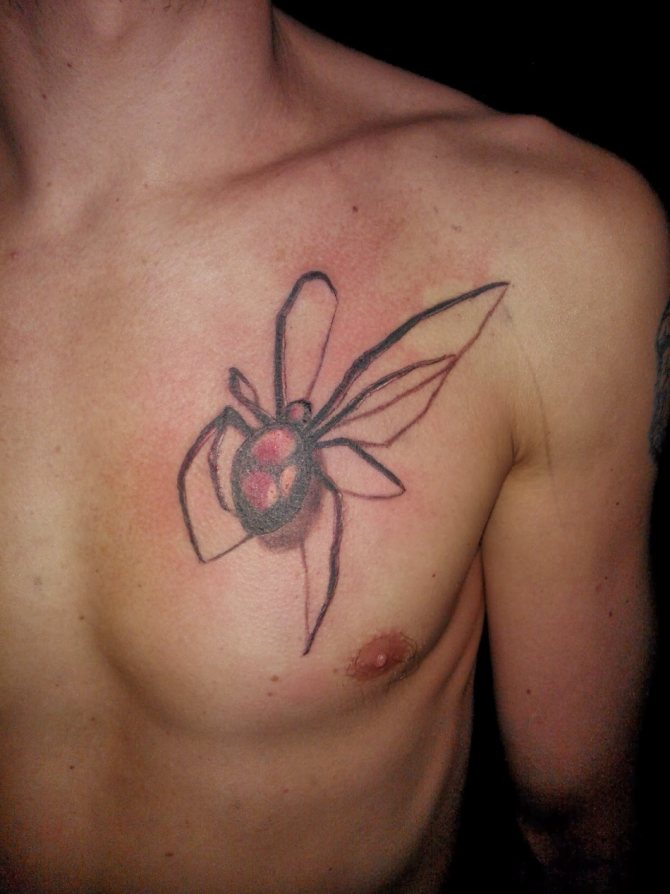 Tattoo amulet spider
