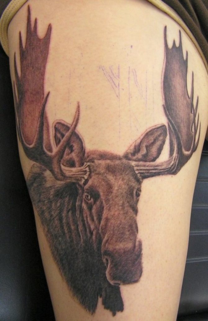 Moose shaped amulet tattoo