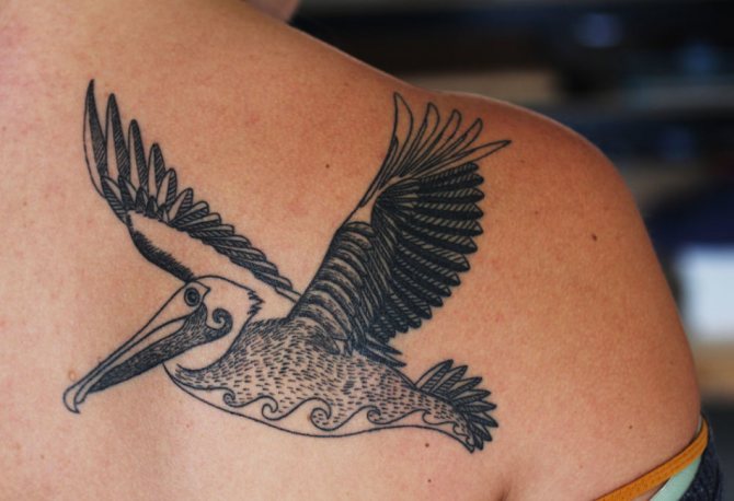 Tattoo amulet in the form of a pelican