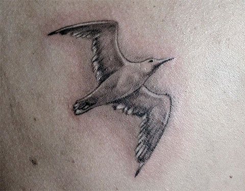 Tattoo of a seagull