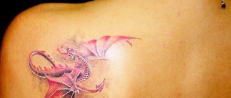 Tattoo of a dragon. Photo, meaning, designs for girls, men. Photo