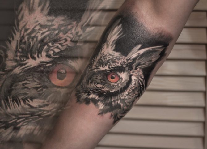 Tattoo of an owl: a realistic style