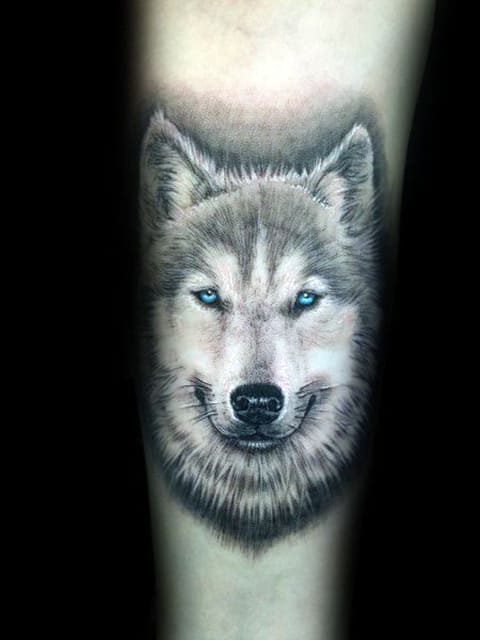 Husky tattoo