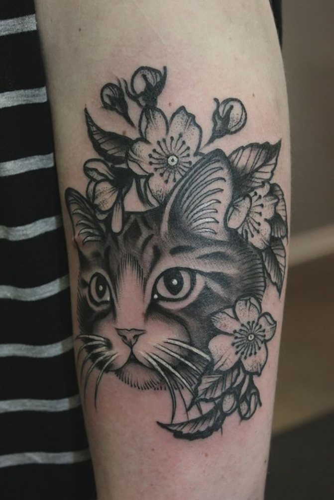 Cat tattoo with flowers on his arm