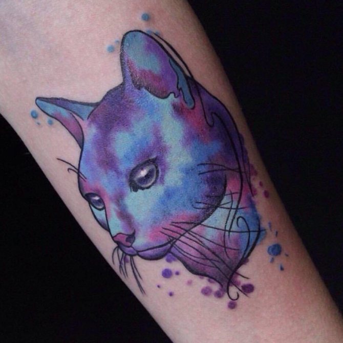 Tatuaggio del gatto ad acquerello