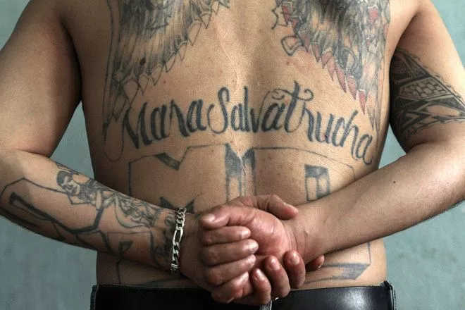 Mara Salvatrucha Tattoo