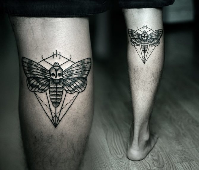 Moth shin tattoo
